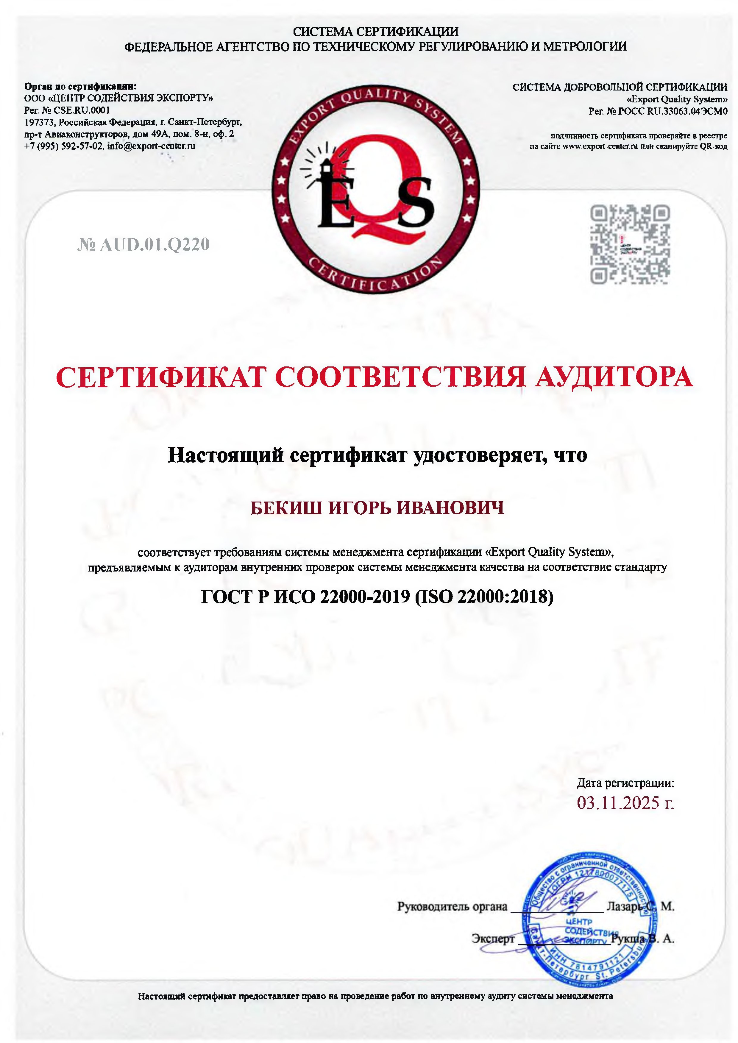 Аудит Бекиш Игорь Иванович