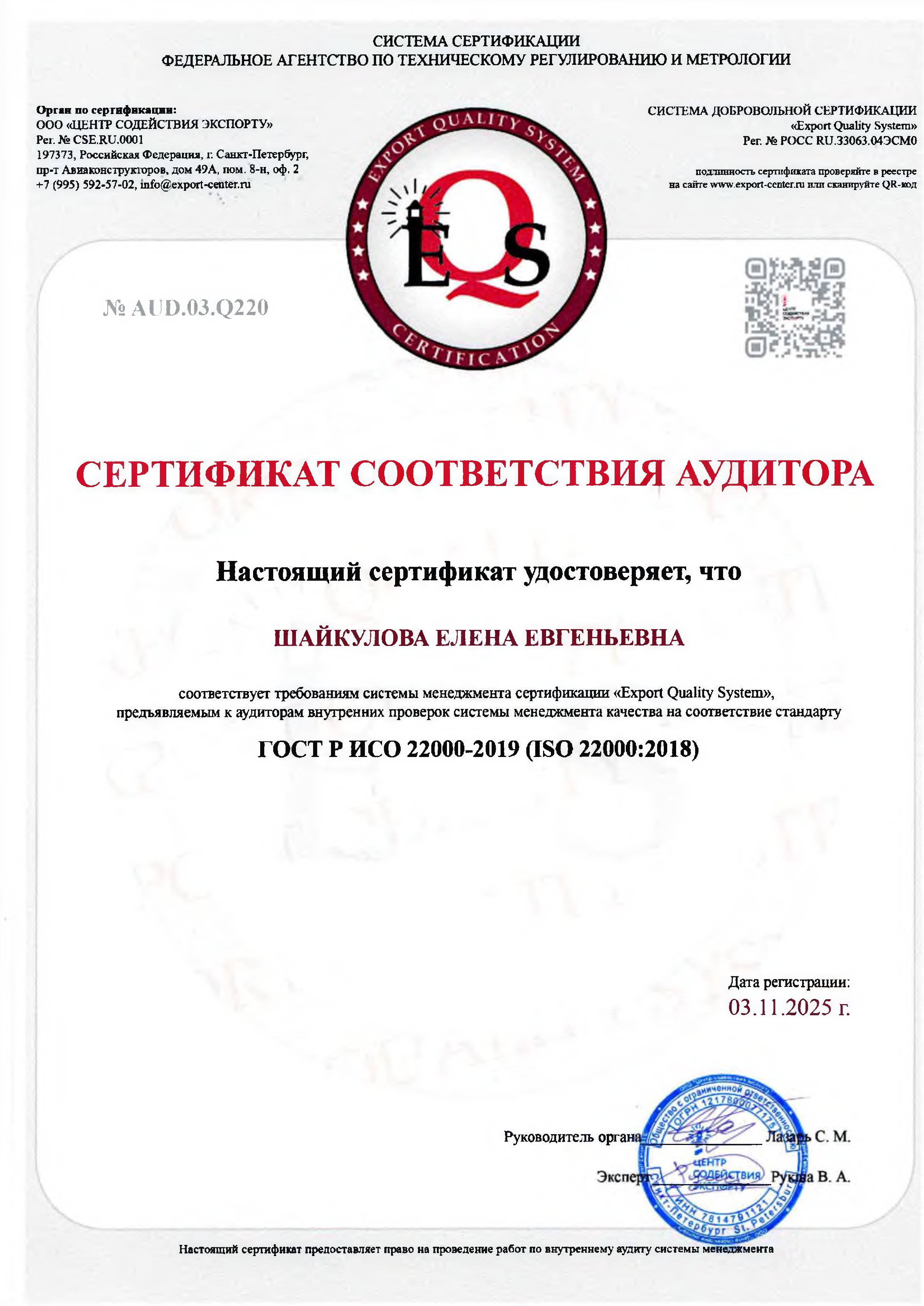 Аудит Шайкулова Елена Евгеньевна