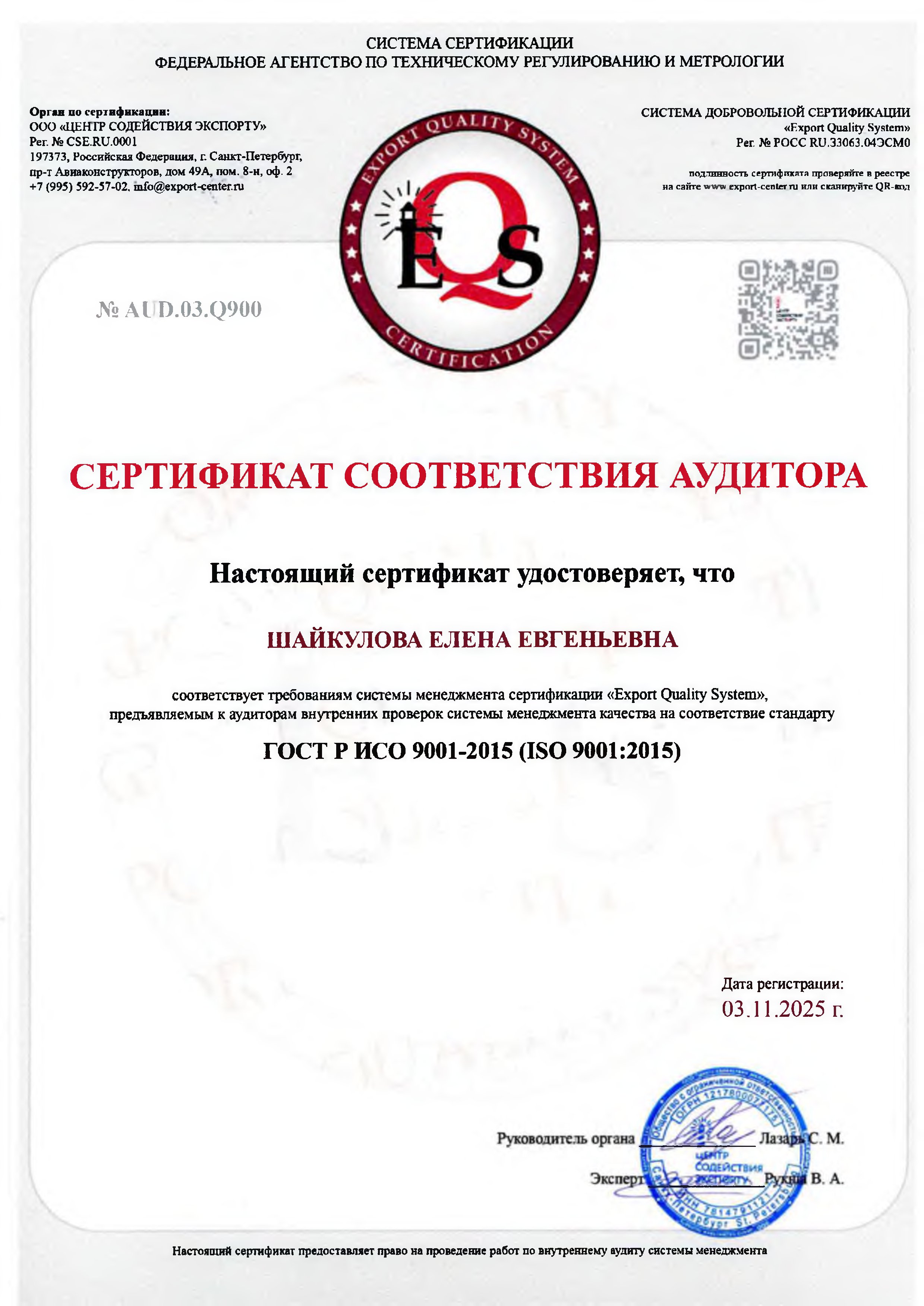 Аудит Шайкулова Елена Евгеньевна